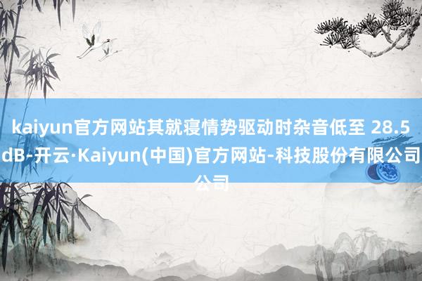kaiyun官方网站其就寝情势驱动时杂音低至 28.5dB-开云·Kaiyun(中国)官方网站-科技股份有限公司