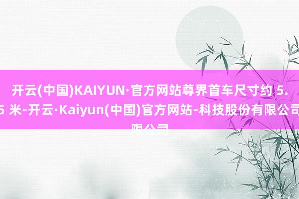 开云(中国)KAIYUN·官方网站尊界首车尺寸约 5.5 米-开云·Kaiyun(中国)官方网站-科技股份有限公司