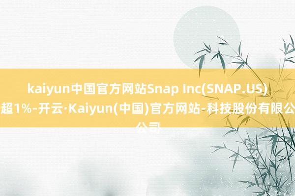 kaiyun中国官方网站Snap Inc(SNAP.US)跌超1%-开云·Kaiyun(中国)官方网站-科技股份有限公司