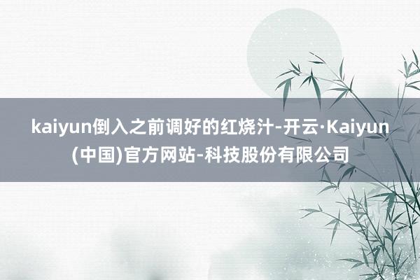 kaiyun倒入之前调好的红烧汁-开云·Kaiyun(中国)官方网站-科技股份有限公司