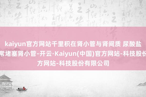 kaiyun官方网站千里积在肾小管与肾间质 尿酸盐像砂砾通常堵塞肾小管-开云·Kaiyun(中国)官方网站-科技股份有限公司
