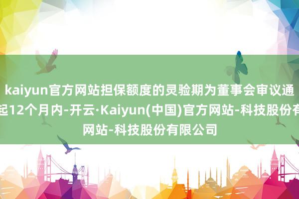 kaiyun官方网站担保额度的灵验期为董事会审议通过之日起12个月内-开云·Kaiyun(中国)官方网站-科技股份有限公司