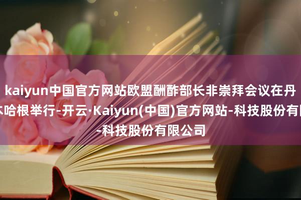 kaiyun中国官方网站欧盟酬酢部长非崇拜会议在丹麦哥本哈根举行-开云·Kaiyun(中国)官方网站-科技股份有限公司