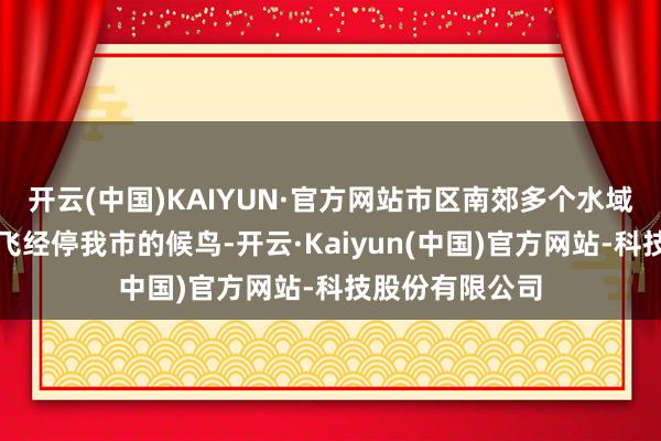 开云(中国)KAIYUN·官方网站市区南郊多个水域迎来一批批迁飞经停我市的候鸟-开云·Kaiyun(中国)官方网站-科技股份有限公司