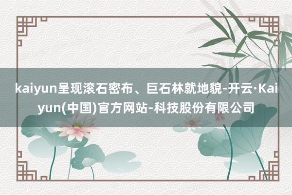 kaiyun呈现滚石密布、巨石林就地貌-开云·Kaiyun(中国)官方网站-科技股份有限公司